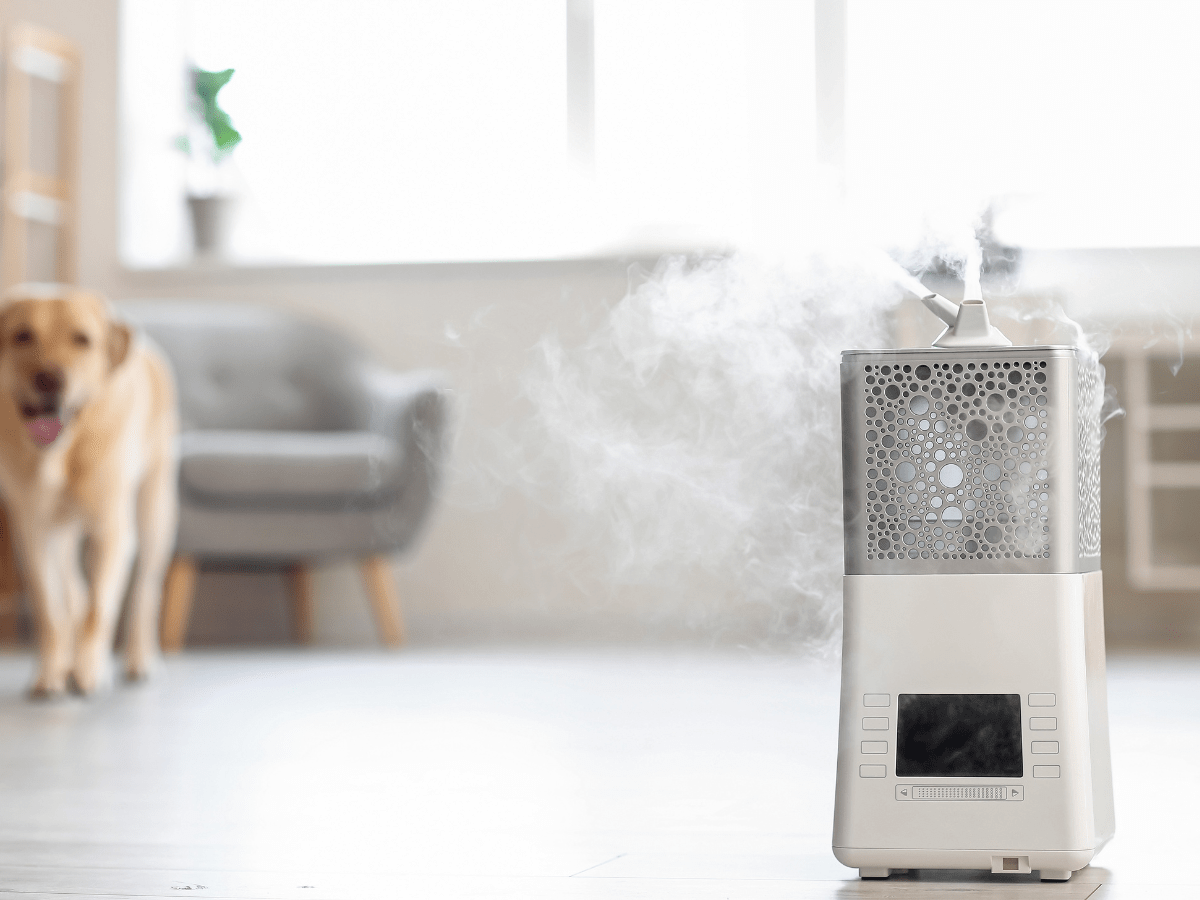 home-humidifier